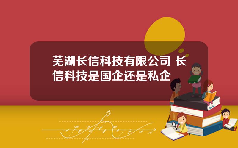芜湖长信科技有限公司 长信科技是国企还是私企